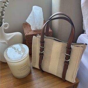 Zara Mini Tote Handbag